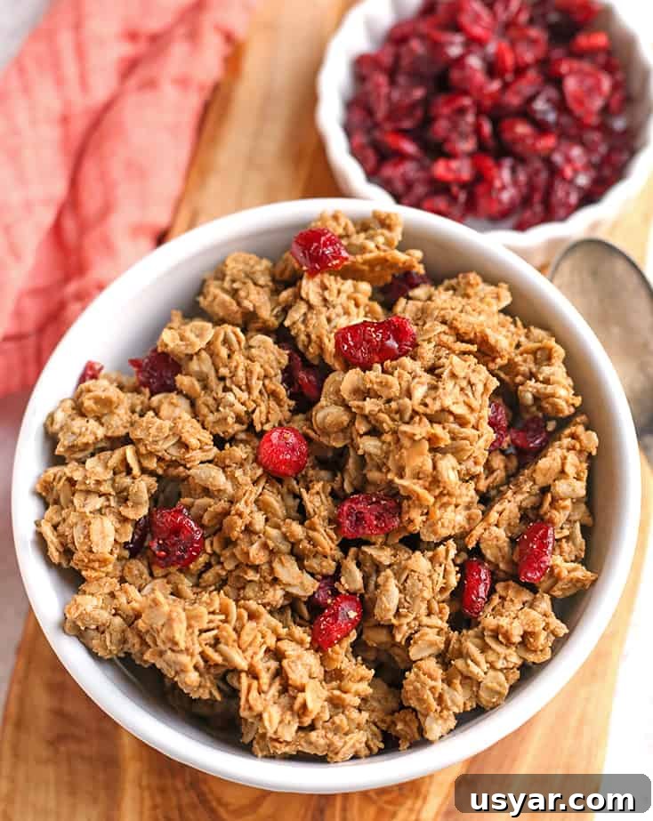 Gluten-Free Granola with Large Clusters 6 bowl of big cluster granola with cranberries