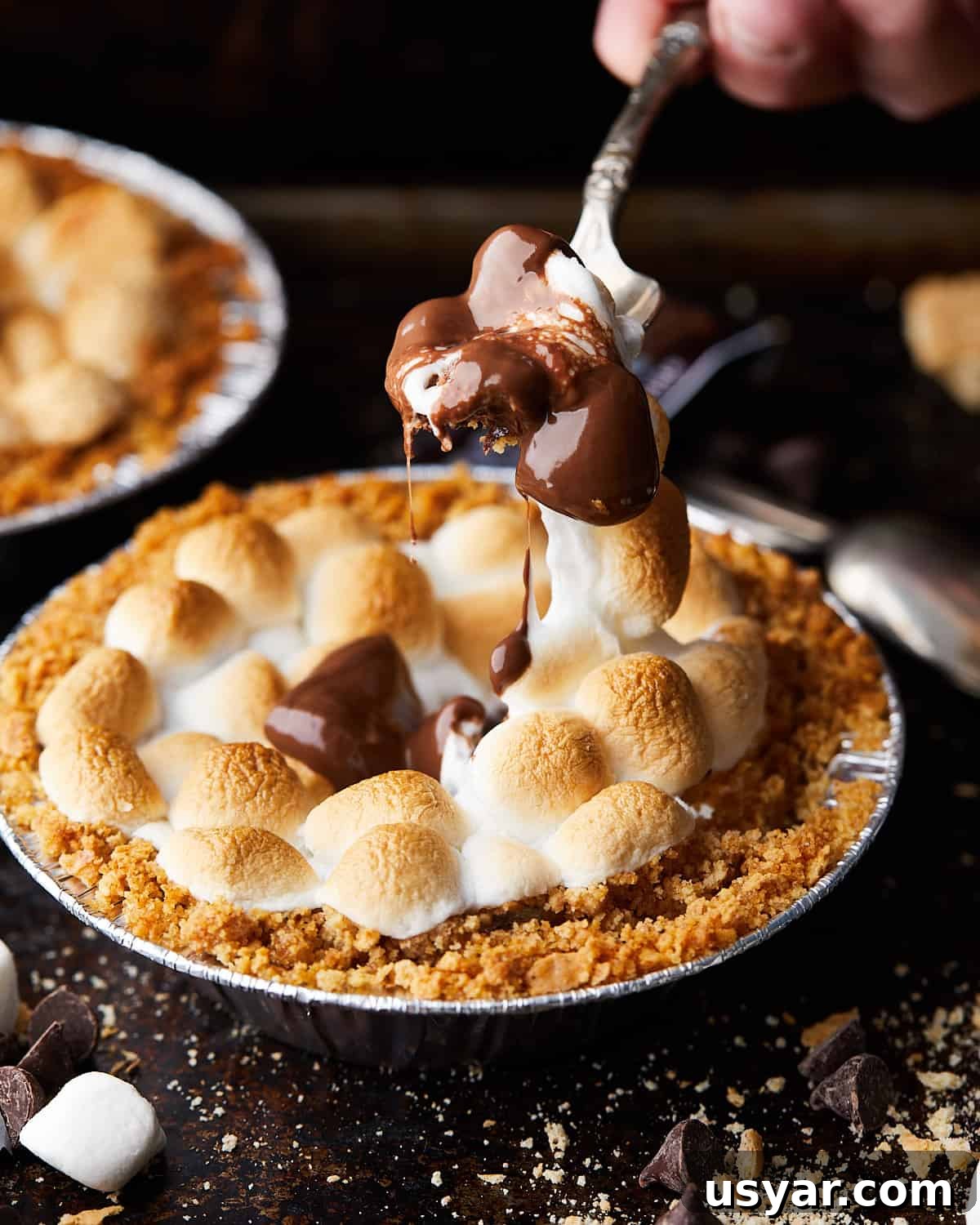 Mini S'mores Pies with Graham Cracker Crust Recipe 2 Image of mini s'mores pie.