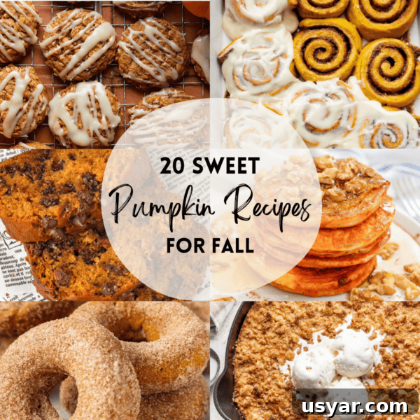 Pumpkin recipes