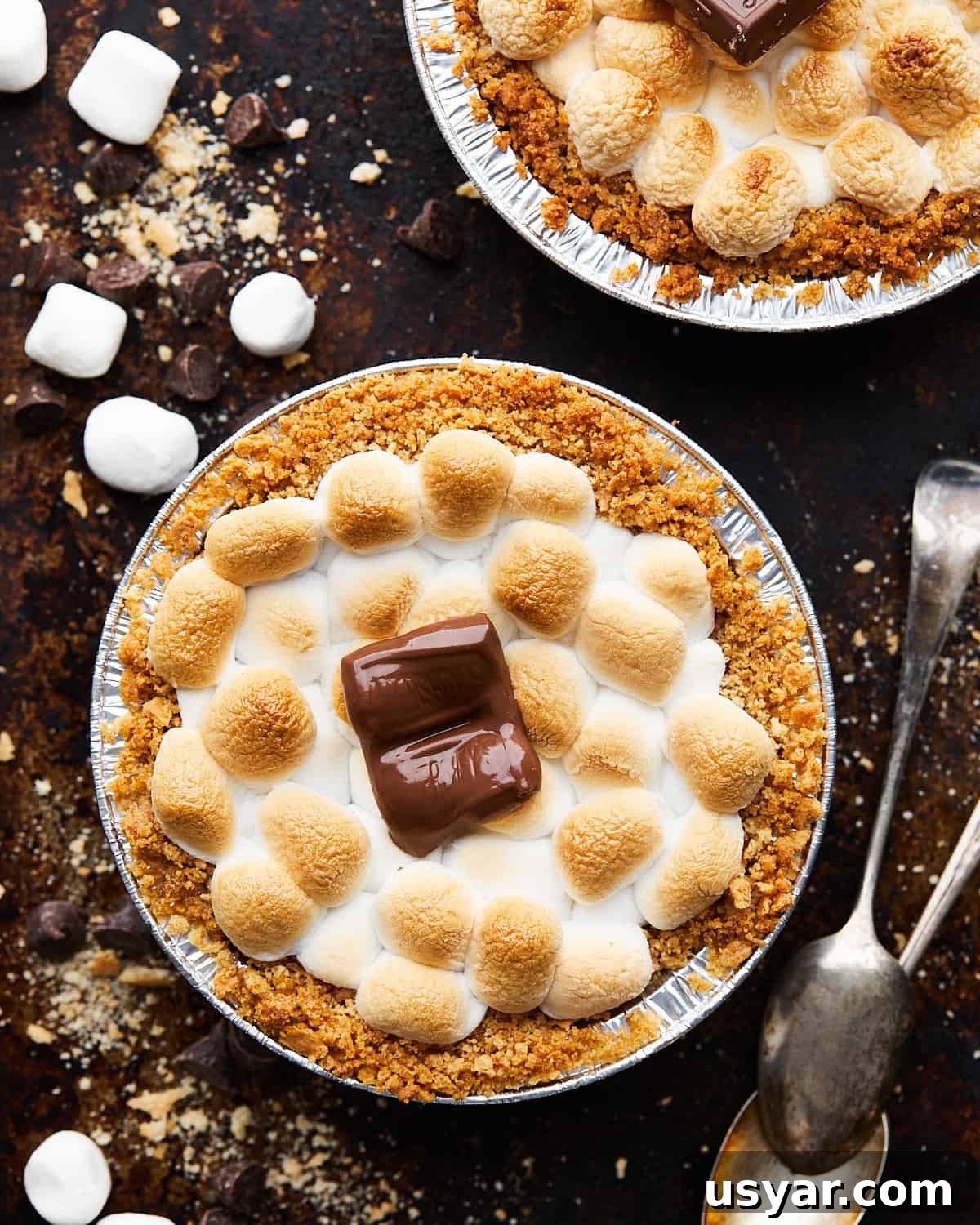 Mini S'mores Pies with Graham Cracker Crust Recipe 8 Overhead image of s'mores mini pie.