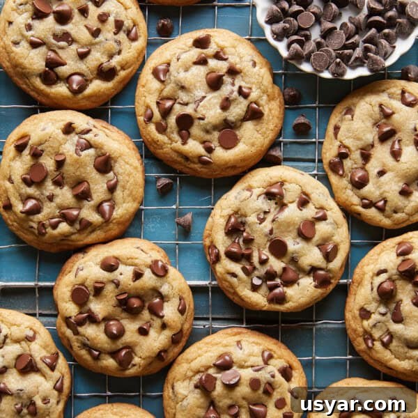No-Chill Chocolate Chip Cookies
