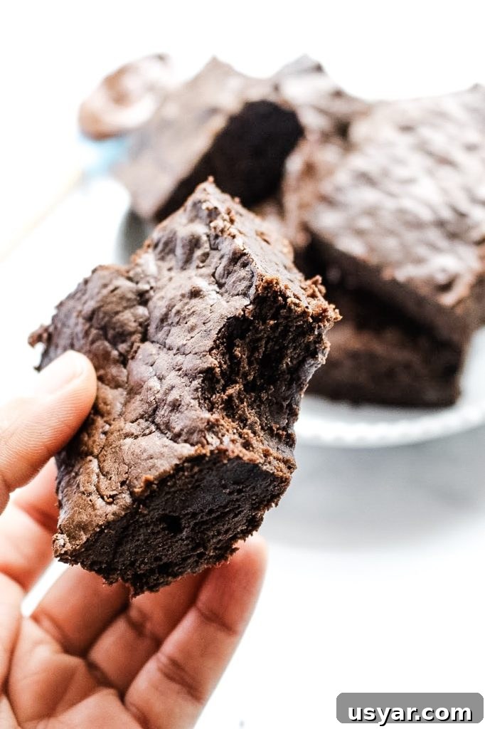 Fudgy Double Chocolate Zucchini Beet Brownies 6 Double chocolate Zucchini & beets Fudgy brownie