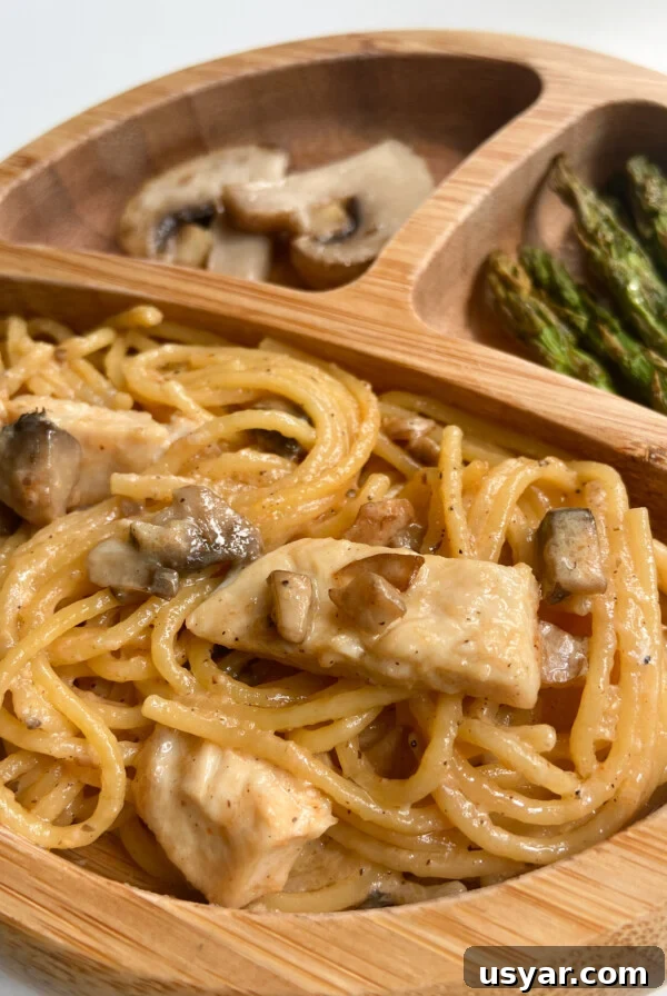 Creamy mushroom chicken tossed with pasta noodles.