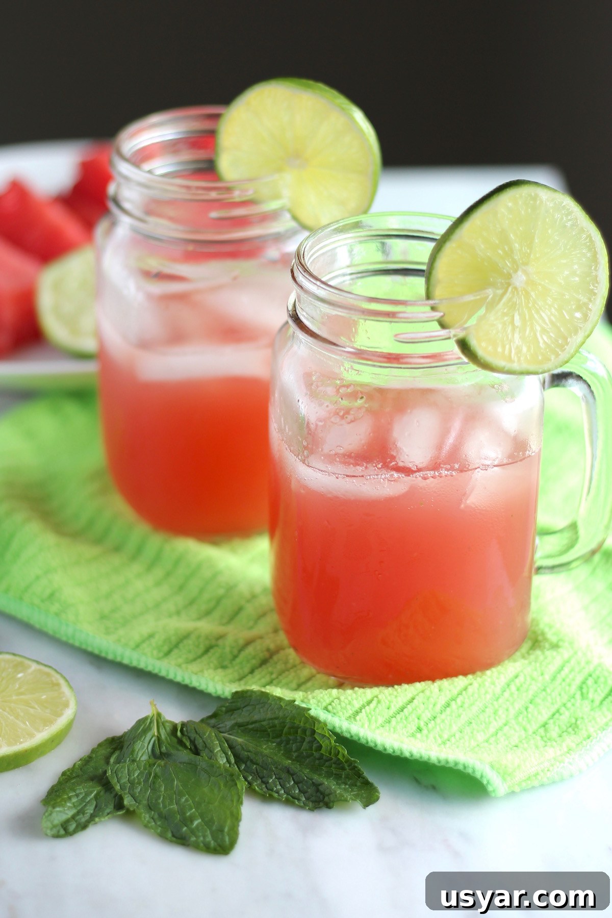Sparkling Watermelon Mint Agua Fresca, a refreshing 5-ingredient summer drink with watermelon, mint, lime, coconut water, and sparkling water
