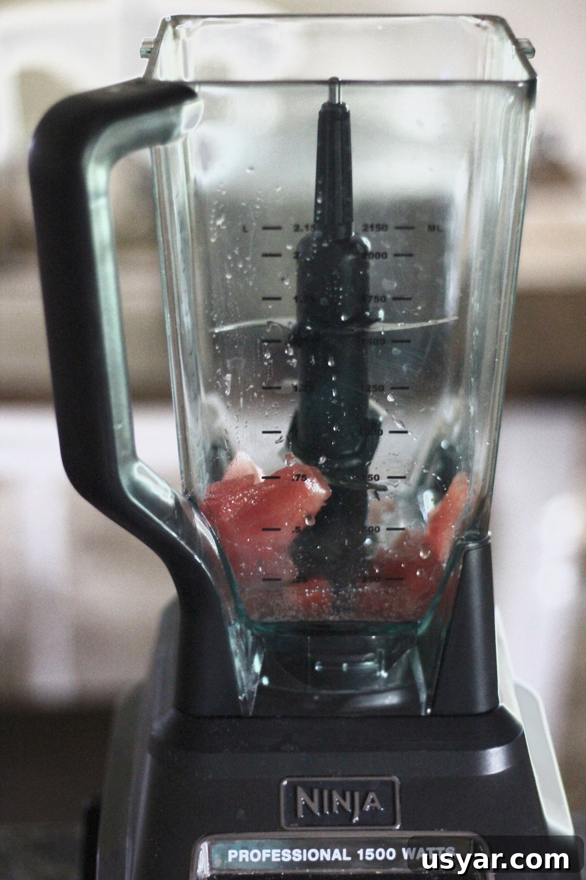 Ingredients for Sparkling Watermelon Mint Agua Fresca blended into a refreshing summer drink
