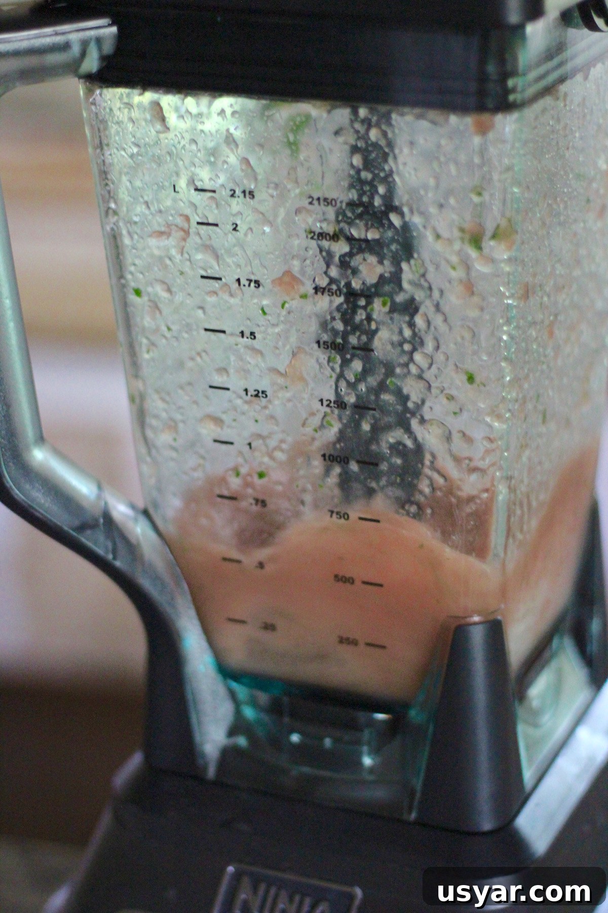 Blended watermelon, lime, mint, and coconut water for sparkling agua fresca