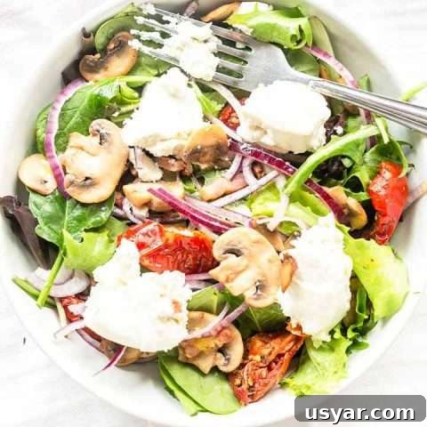 This goat cheese salad recipe is a great lunch recipe. You can also serve it as a starter or you can serve as a dinner.