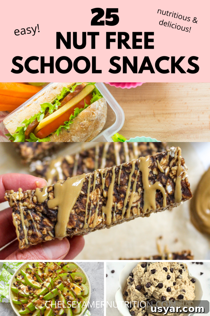 25 Nut-Free School Snack Ideas Kids Will Love 3 img 14716 2