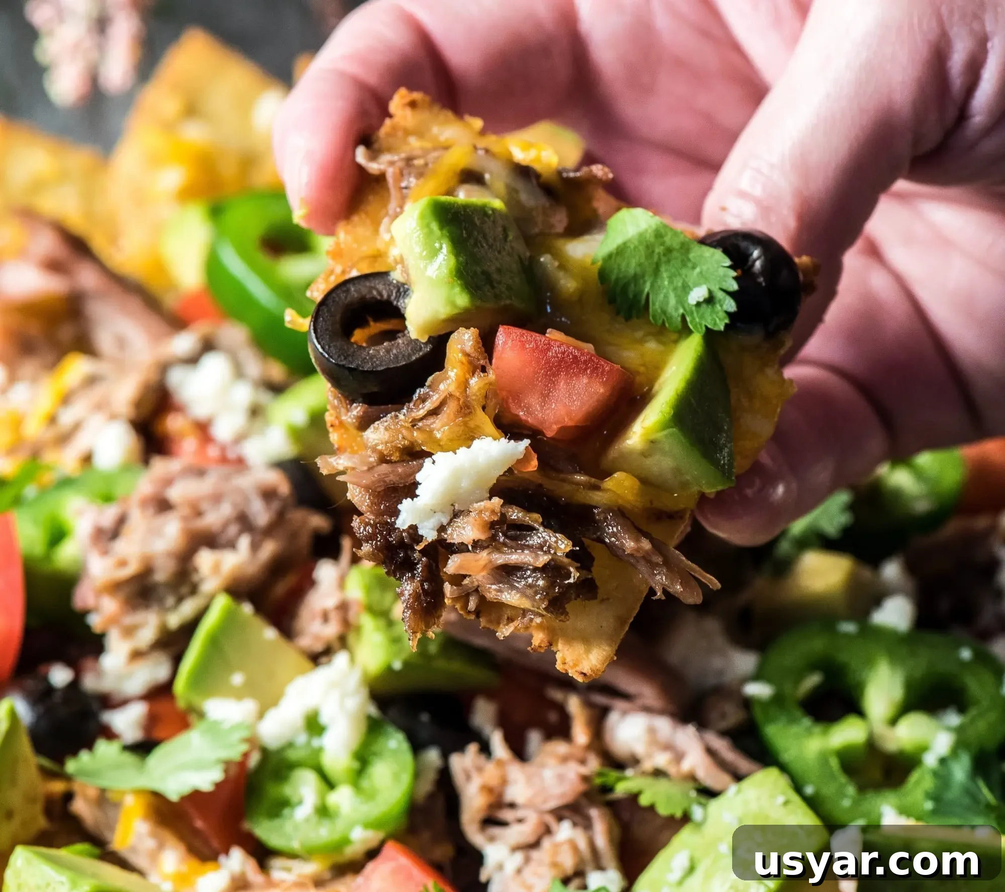 Loaded Pork Carnitas Nachos with Avocado Salsa 10 Assembled nachos
