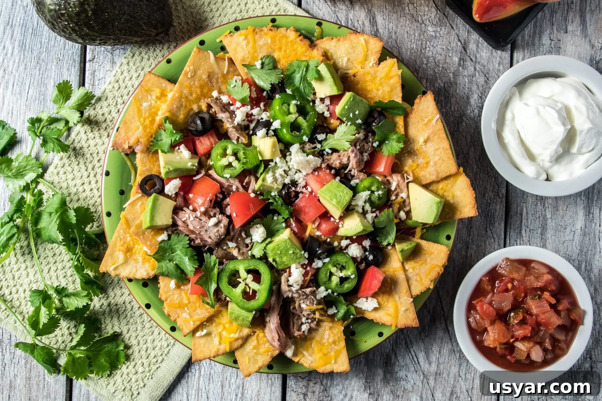 Loaded Pork Carnitas Nachos with Avocado Salsa 3 Carnitas served