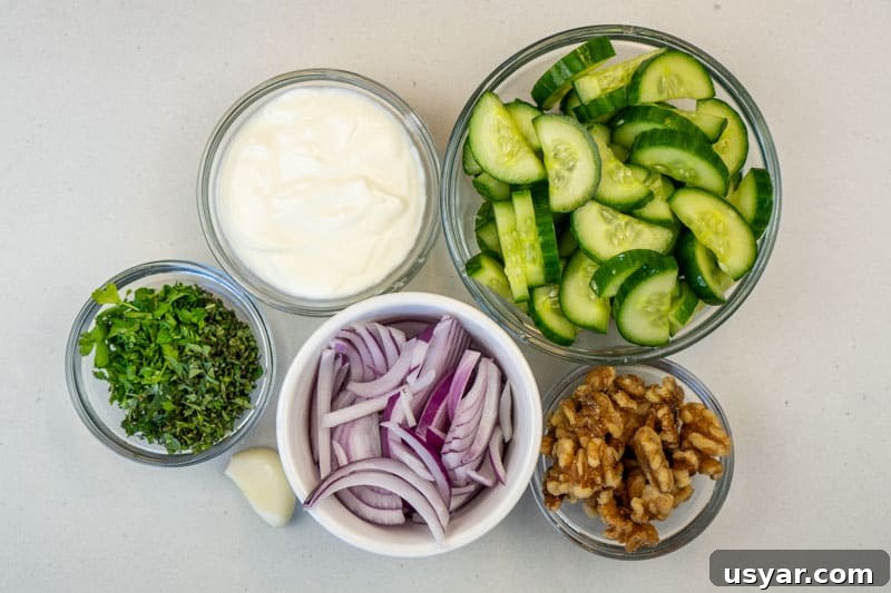 Creamy Cucumber Mint Yogurt Salad - No Dill 3 Ingredients for this salad