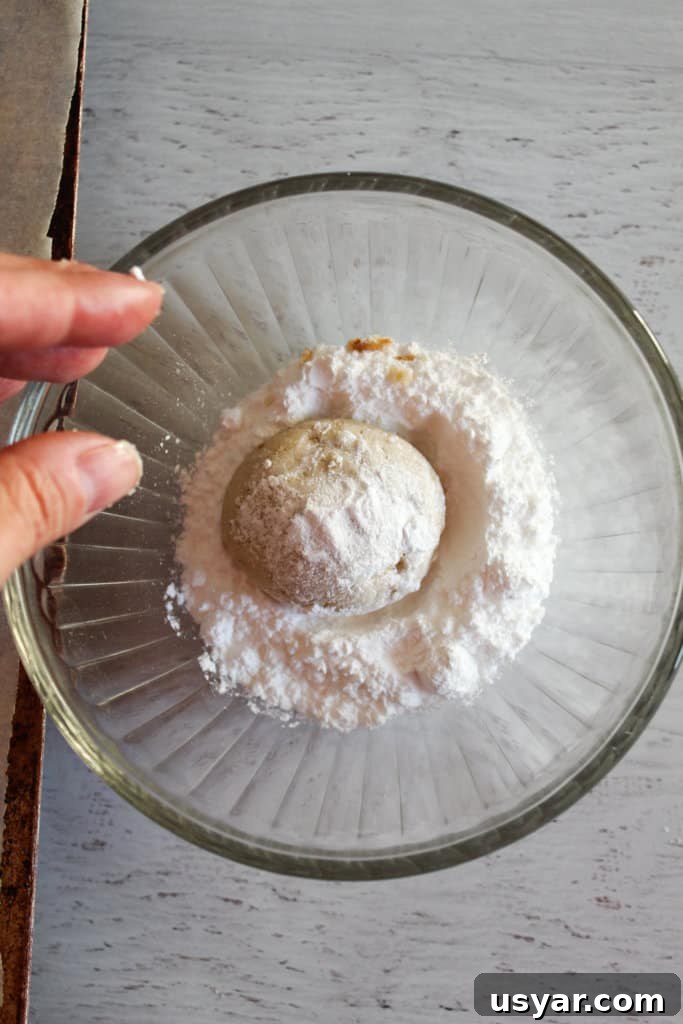Gluten-Free Mexican Wedding Cookies: Almond Snowball Recipe 7 hand rolling cookies in powdered sugar.