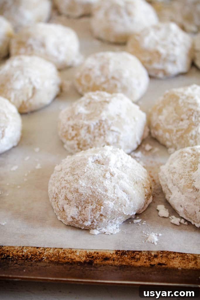 Gluten-Free Mexican Wedding Cookies: Almond Snowball Recipe 8 Mexican wedding cookies rolled in powdered sugar on a cookie sheet.
