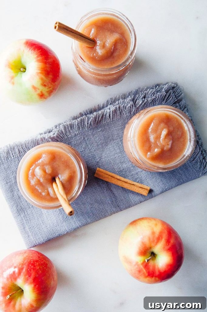 Instant Pot Apple Sauce