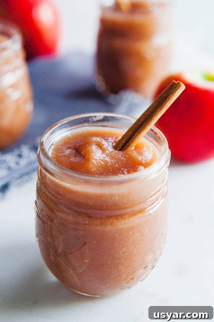 Instant Pot Apple Sauce