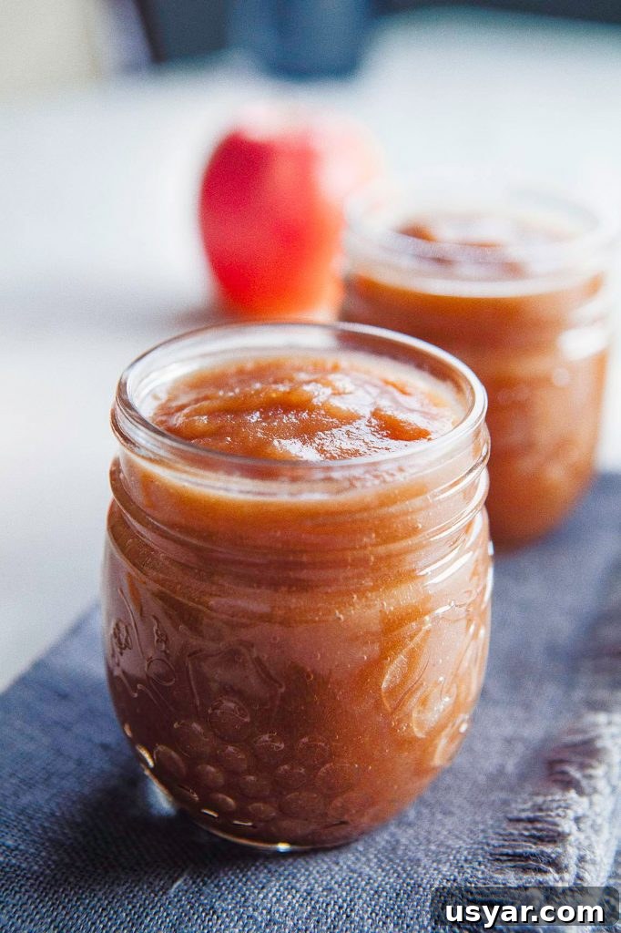 Instant Pot Apple Sauce