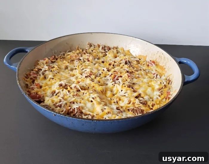 51 Dinner Ideas for Tonight: Quick, Delicious Recipes 32 Cheesy Beef and Rice Casserole