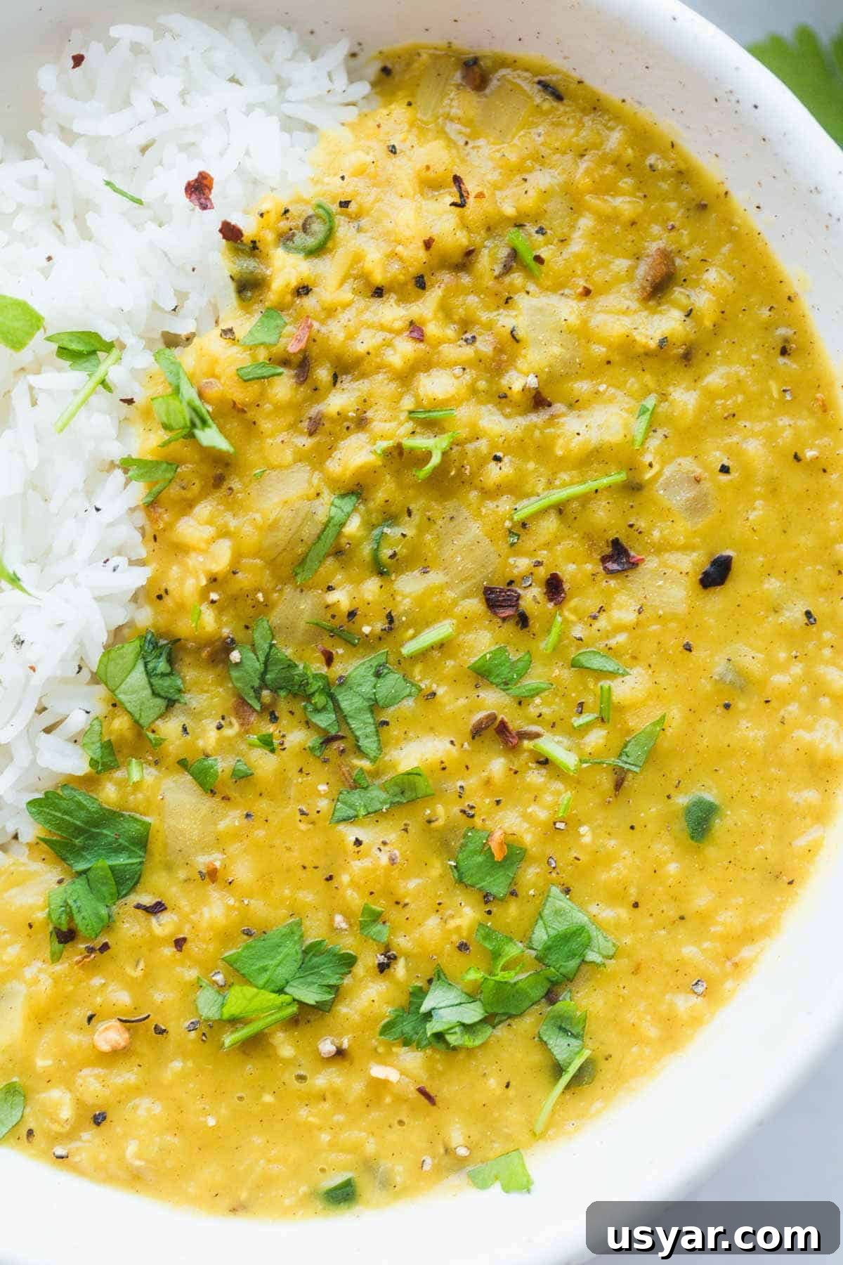 51 Dinner Ideas for Tonight: Quick, Delicious Recipes 38 Lentil Dahl