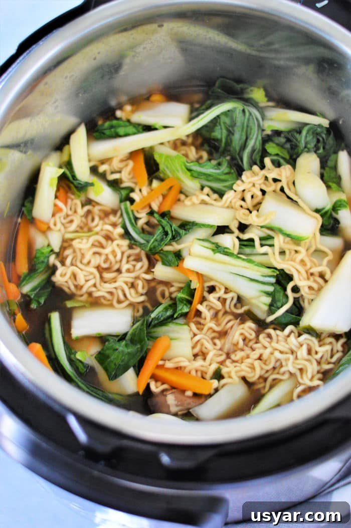 51 Dinner Ideas for Tonight: Quick, Delicious Recipes 41 Instant Pot Vegetable Ramen