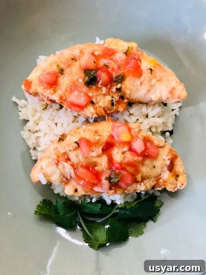 51 Dinner Ideas for Tonight: Quick, Delicious Recipes 9 Slow Cooker Salsa Chicken