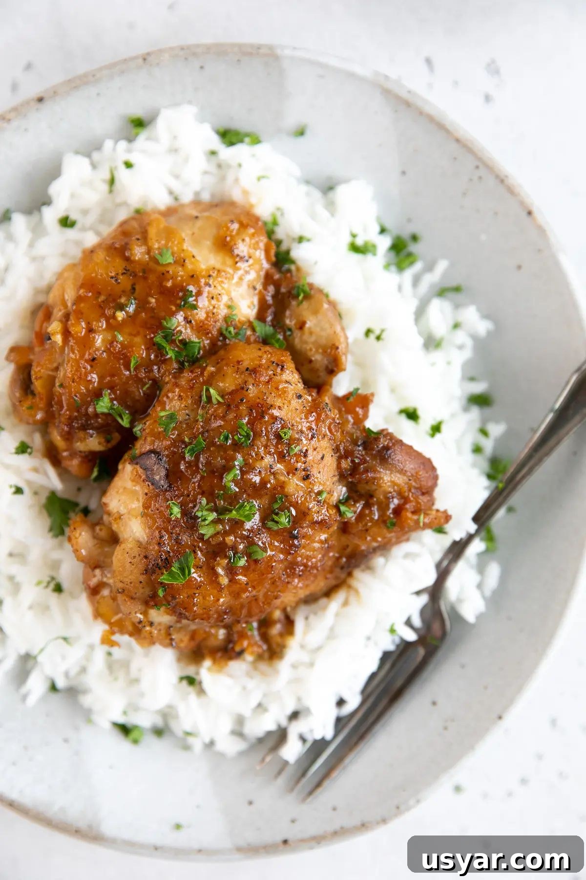 51 Dinner Ideas for Tonight: Quick, Delicious Recipes 10 Honey Mustard Chicken Thighs