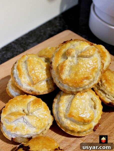 Homemade Mini Meat Pies have a delicious flaky pie crust, are simple and quick to make and great for lunch boxes, parties, picnics and snacks. freezer friendly too!
