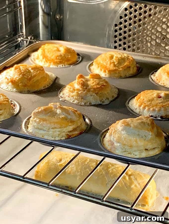 Homemade Mini Meat Pies have a delicious flaky pie crust, are simple and quick to make and great for lunch boxes, parties, picnics and snacks. freezer friendly too!