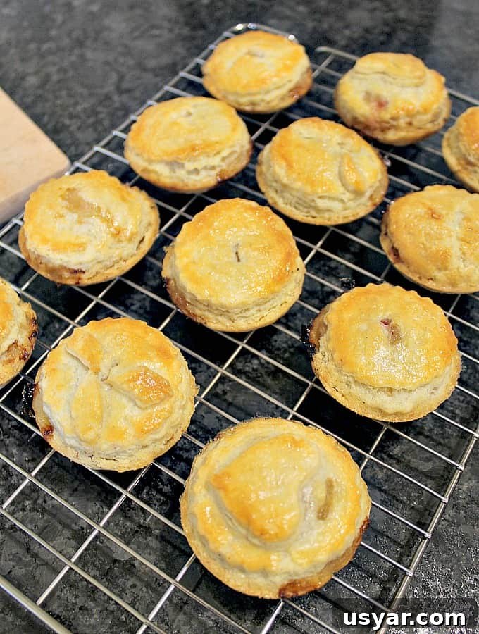 Homemade Mini Meat Pies have a delicious flaky pie crust, are simple and quick to make and great for lunch boxes, parties, picnics and snacks. freezer friendly too!