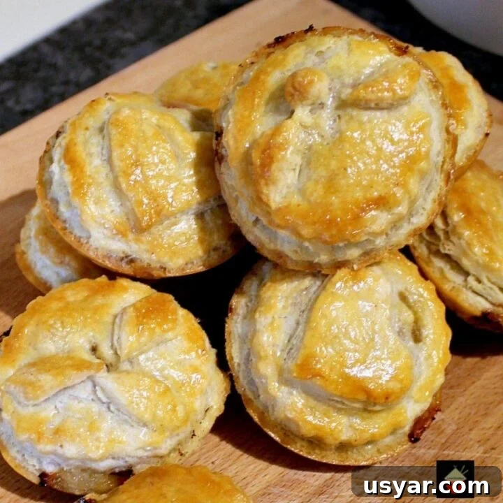 Homemade Mini Meat Pies have a delicious flaky pie crust, are simple and quick to make and great for lunch boxes, parties, picnics and snacks. freezer friendly too!