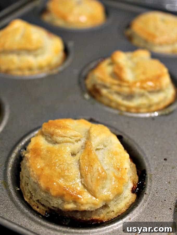 Homemade Mini Meat Pies have a delicious flaky pie crust, are simple and quick to make and great for lunch boxes, parties, picnics and snacks. freezer friendly too!