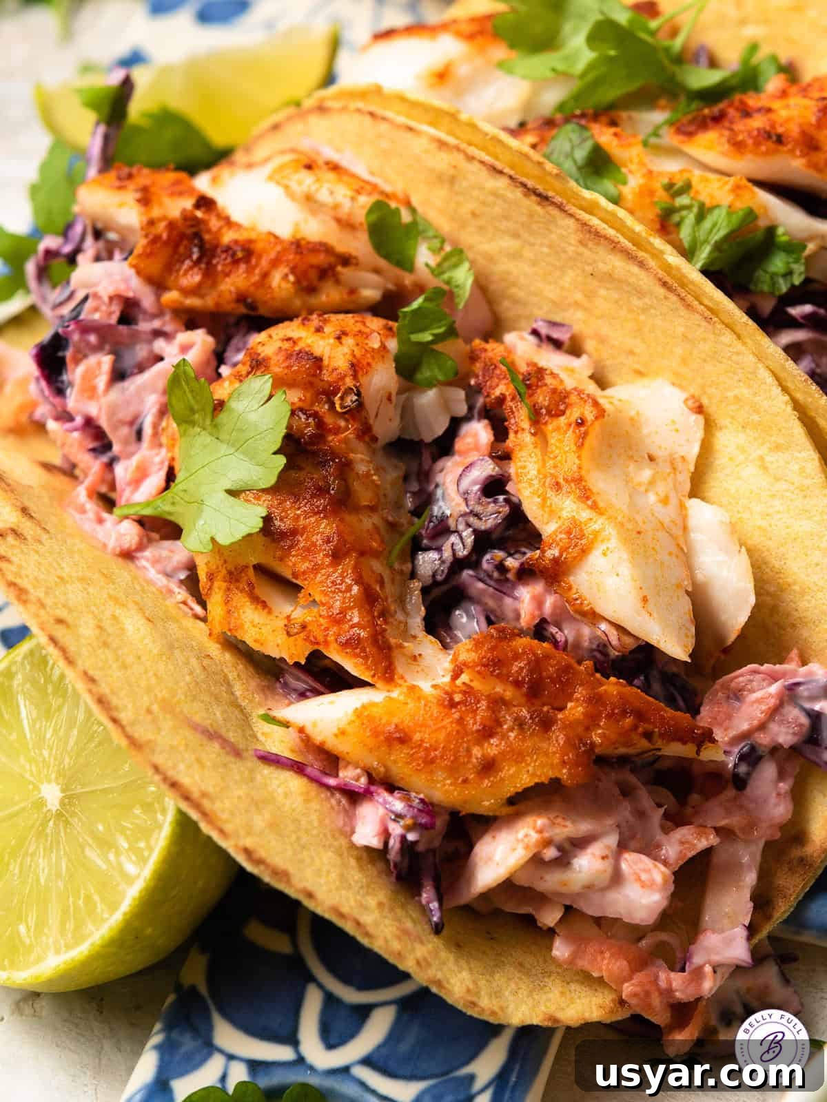 Grilled Fish Tacos Recipe with Cilantro Lime Slaw 4 close up grilled fish taco