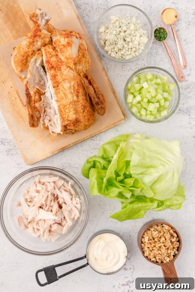 Keto Chicken Salad: Creamy Low-Carb Recipe 3 ingredients in chicken salad
