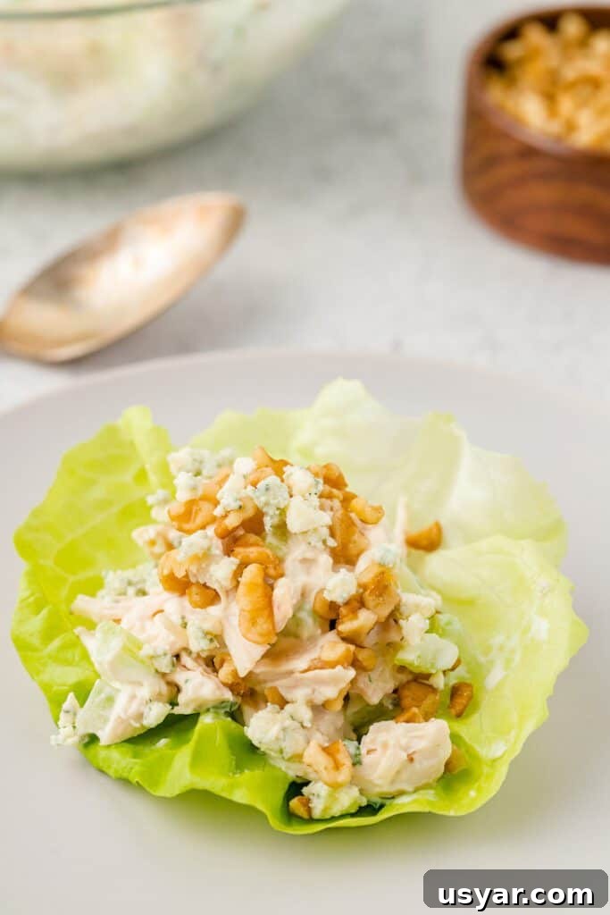 Keto Chicken Salad: Creamy Low-Carb Recipe 4 keto chicken salad recipe