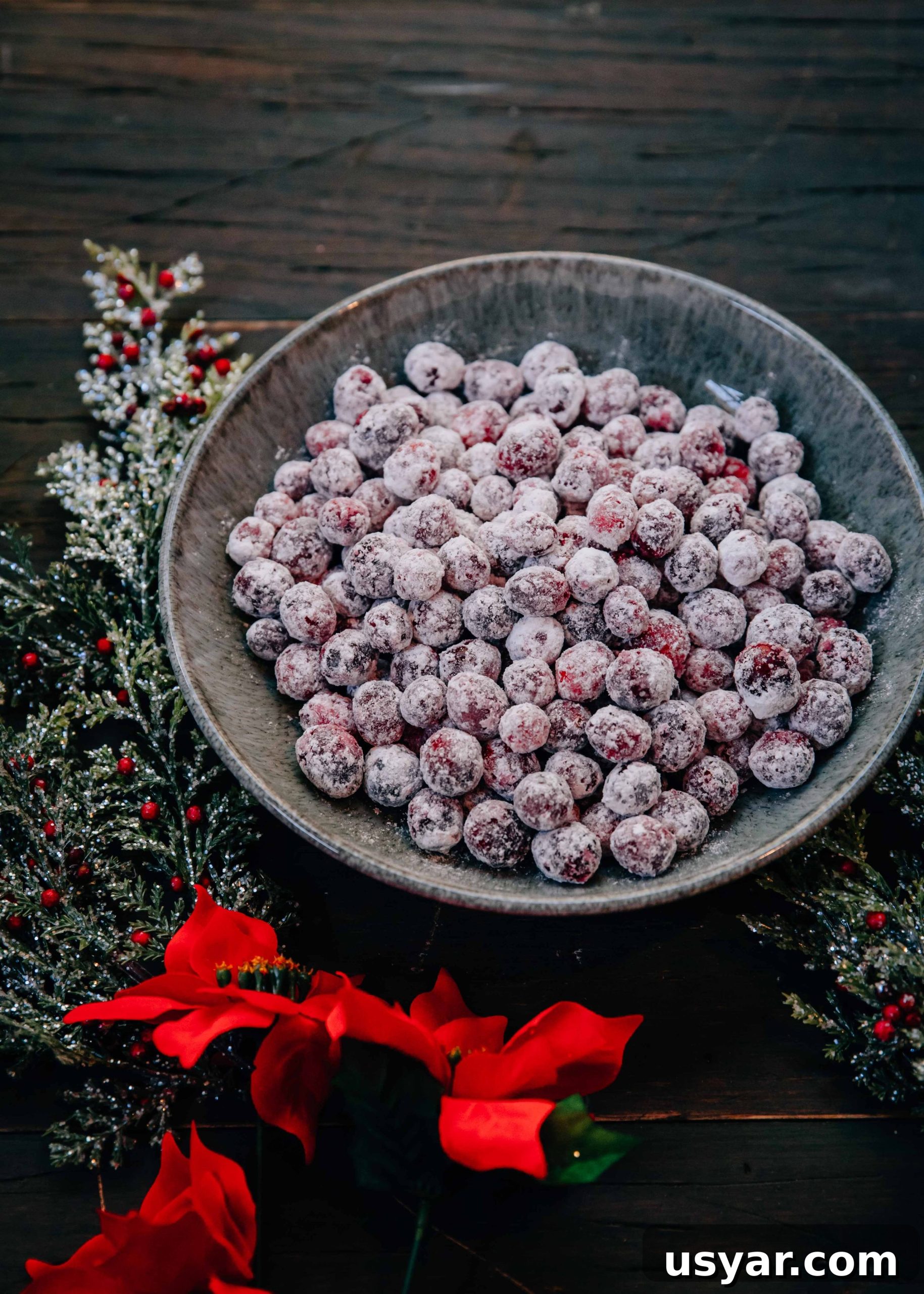 Holiday Sugared Cranberries Recipe for Festive Garnish 3 Sugared Cranberries close-up