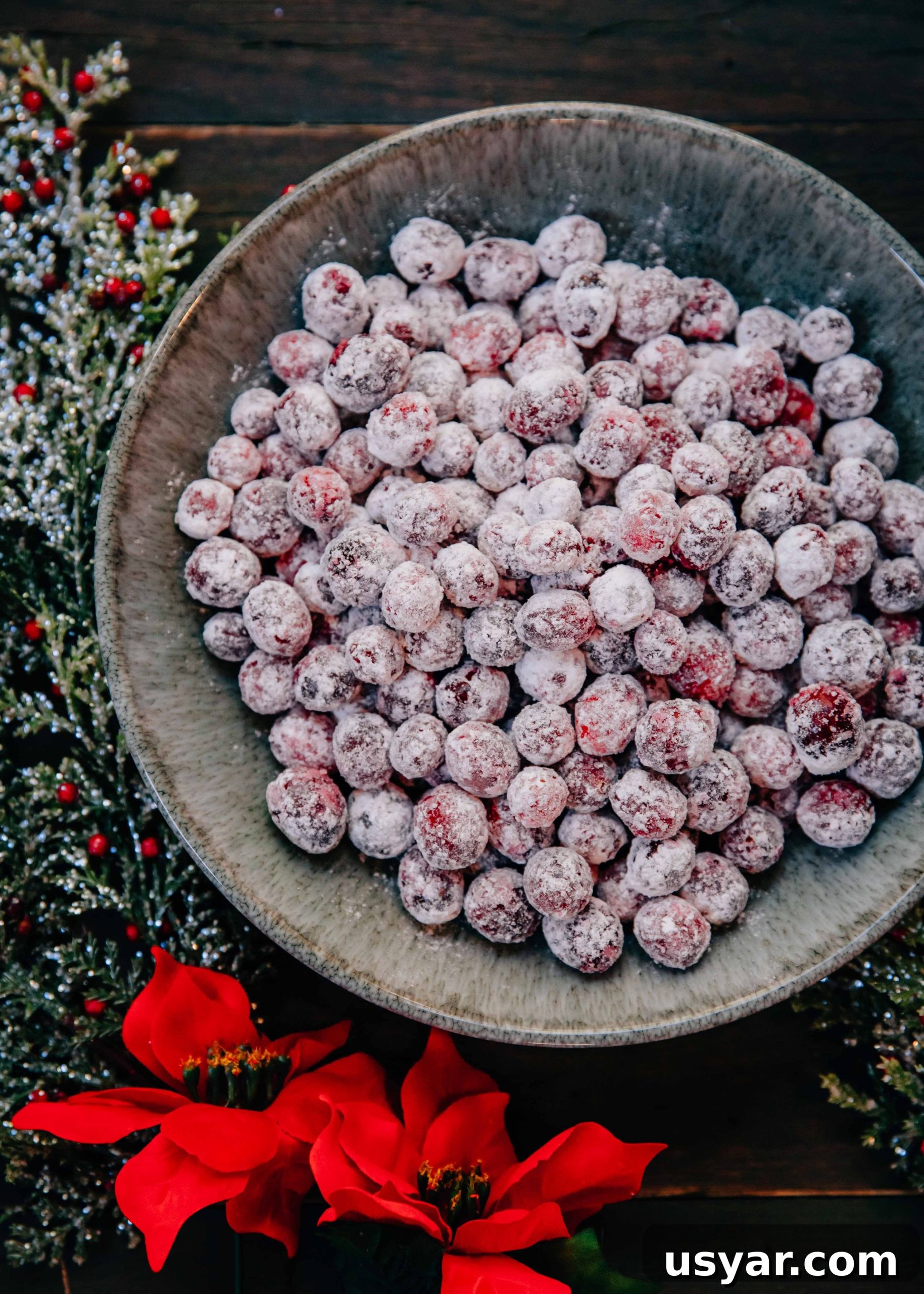Holiday Sugared Cranberries Recipe for Festive Garnish 4 Sugared Cranberries on a plate