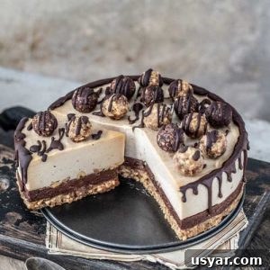 Peanut Butter Chocolate No-Bake Cheesecake