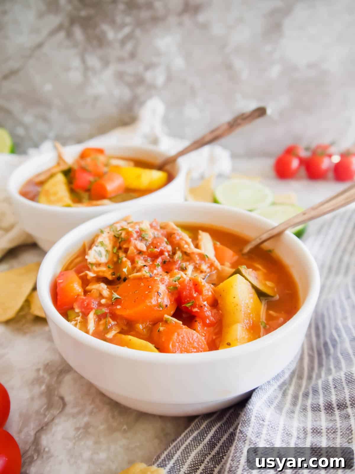 Slow Cooker Shredded Chicken and Vegetable Chili Recipe 3 Slow Cooker Shredded Chicken and Vegetable Chili | Perchance to Cook