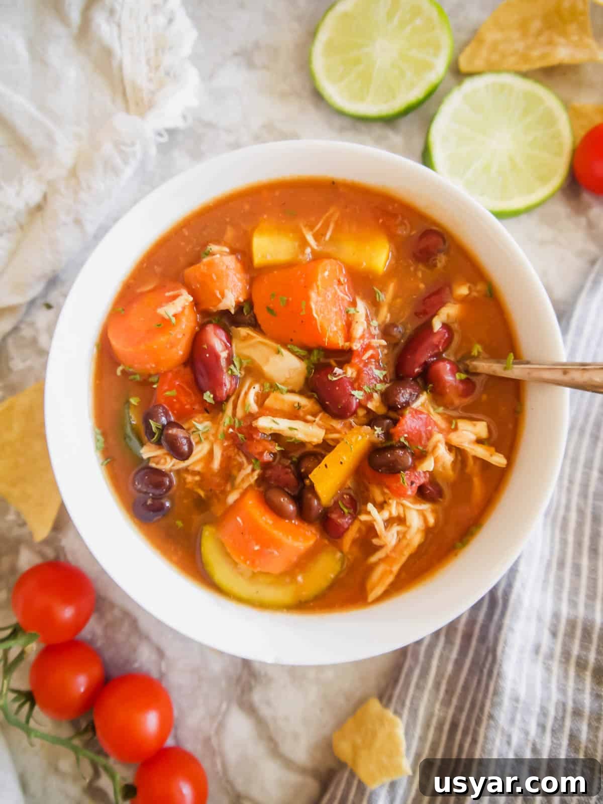 Slow Cooker Shredded Chicken and Vegetable Chili Recipe 5 Slow Cooker Shredded Chicken and Vegetable Chili | Perchance to Cook