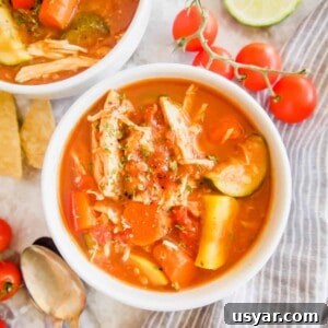 Slow Cooker Shredded Chicken and Vegetable Chili | Perchance to Cook