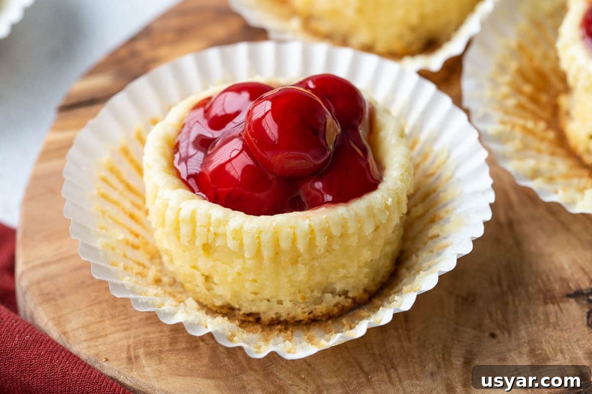 Mini Cherry Cheesecakes with Graham Cracker Crust 8 mini cherry cheesecake in a white paper cupcake liner.
