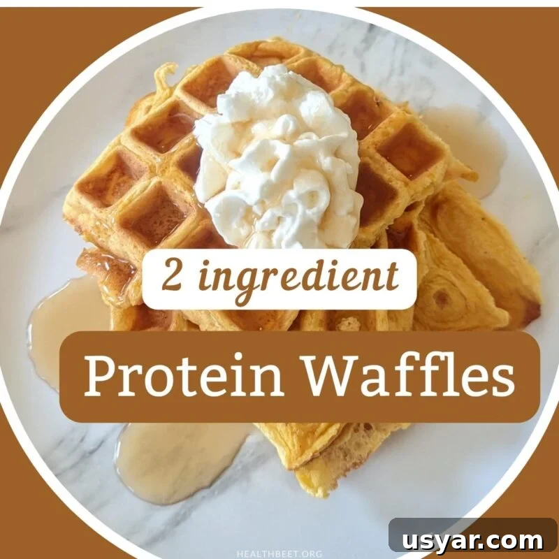 Chocolate Protein Waffles Without Protein Powder 6 2 ingredient high protein waffles