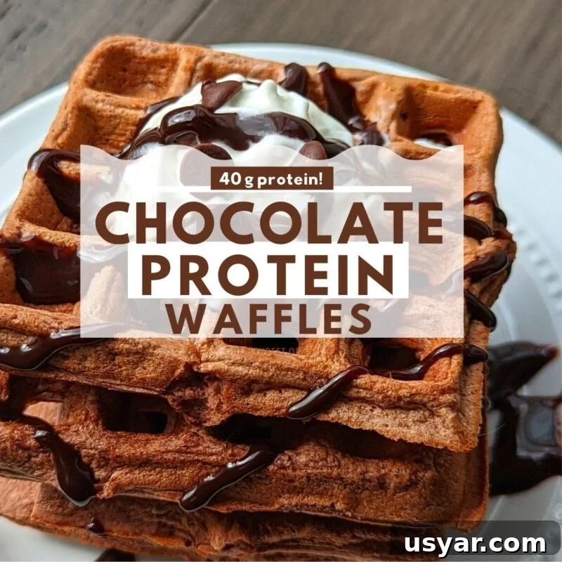 Chocolate Protein Waffles Without Protein Powder 7 chocolate protein waffles with whipped cream- 40 grams of protein per serving square