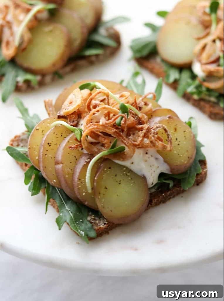 Danish Sourdough Rye Bread Rugbrød Recipe 3 An open sandwich with sliced potato, arugula and crispy shallots on a plate