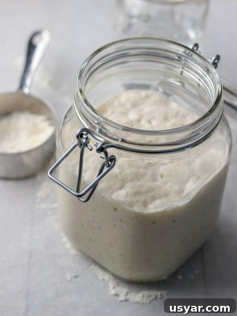 Danish Sourdough Rye Bread Rugbrød Recipe 5 Sourdough starter in a jar next to a measuring cup with flour