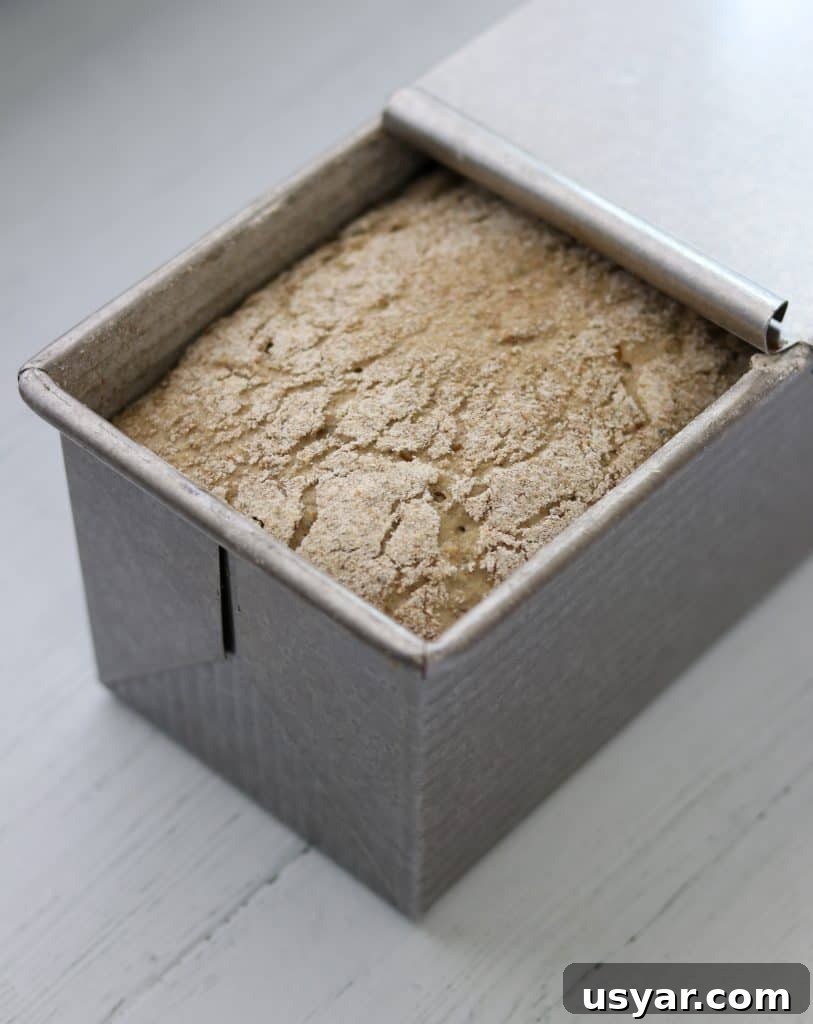 Danish Sourdough Rye Bread Rugbrød Recipe 8 Rye bread dough rising in a loaf pan