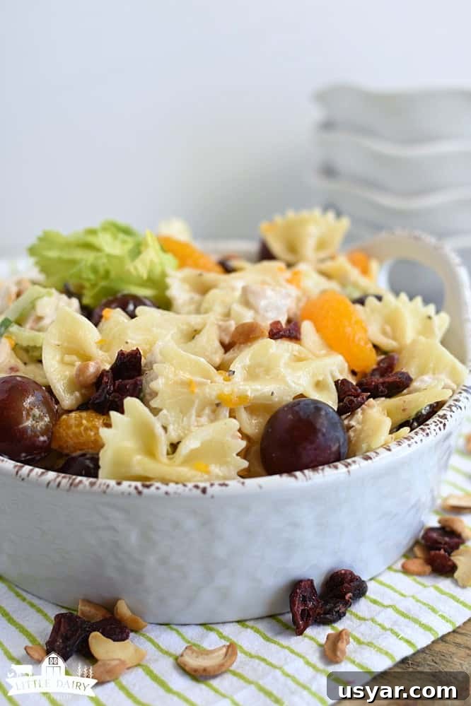 Week 176 Family Meal Plan: Dinner Ideas and Shopping List 7 img 18968 6