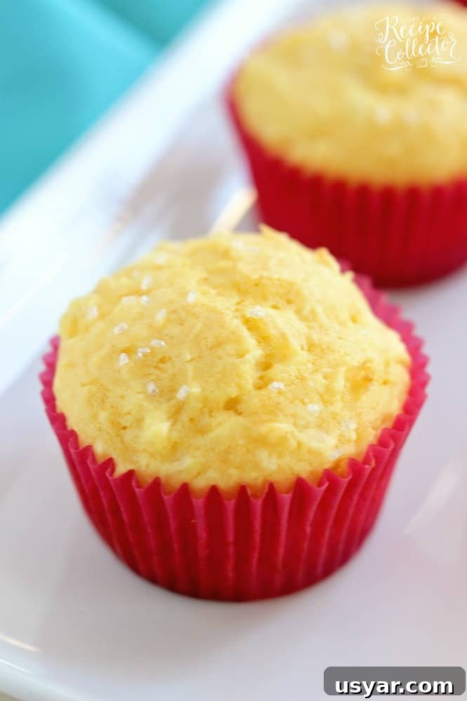 Week 176 Family Meal Plan: Dinner Ideas and Shopping List 8 img 18968 7