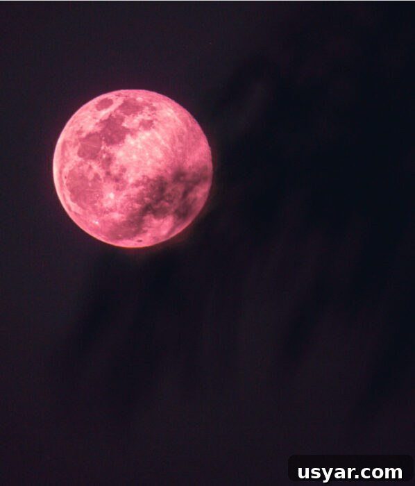 How to See the Pink Supermoon in April 2 April Super Pink Moon in the night sky