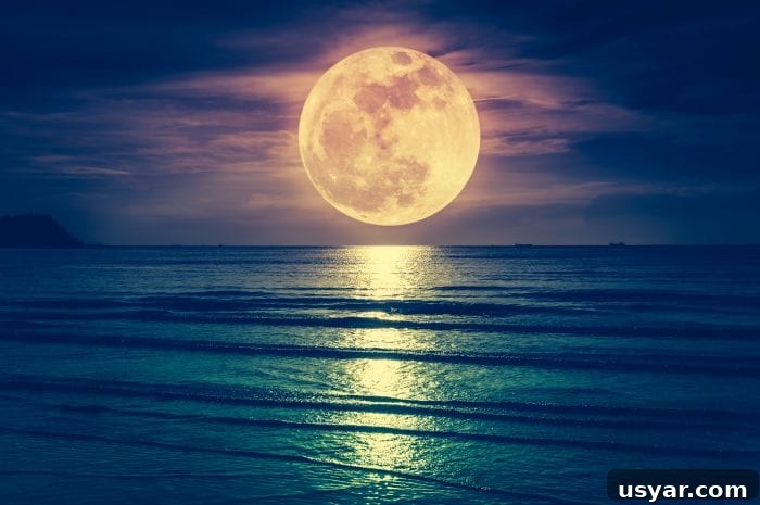 How to See the Pink Supermoon in April 3 Bright full moon viewed through a clear night sky