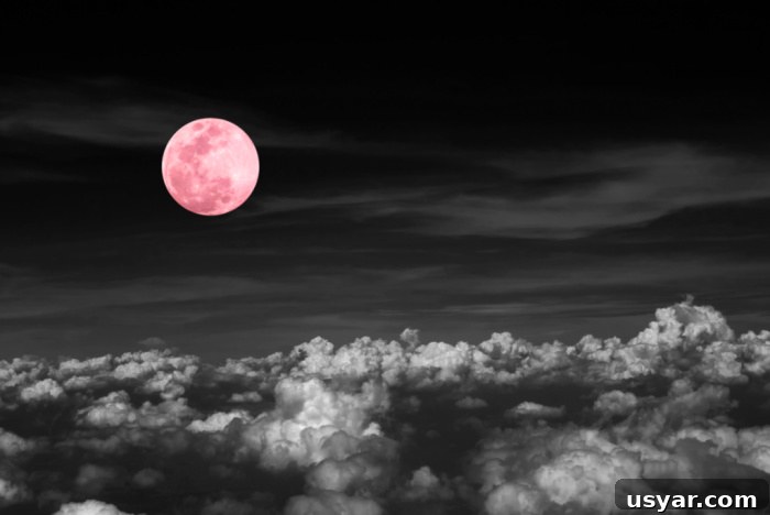 How to See the Pink Supermoon in April 4 Supermoon glowing above the horizon
